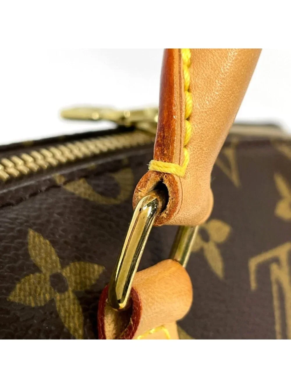 Louis Vuitton Riviera Mini Handbag Monogram Brown